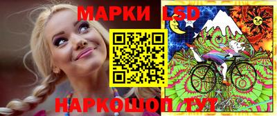крисы Заводоуковск